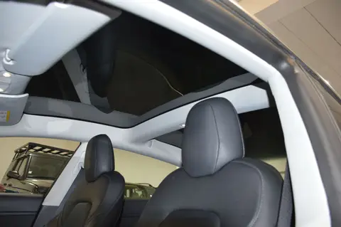 
								TESLA MODEL 3 PERFORMANCE 9CV WITH PUP AWD WITH UPGRADE 75 KWH full									